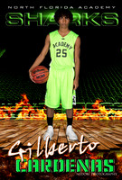 Cardenas.G_2