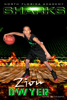 Dwyer,Z_1