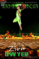 Dwyer,Z_2