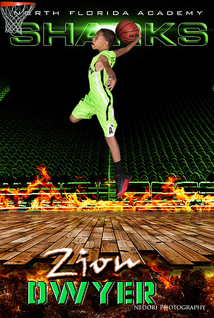 Dwyer,Z_2