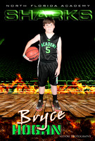 Hogan,B_1