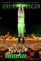Hogan,B_2