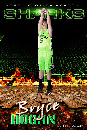 Hogan,B_2