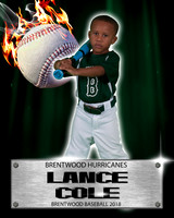 Cole,L_1