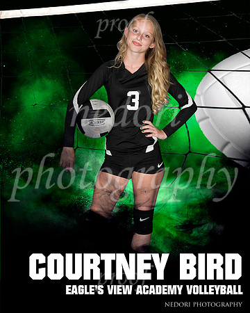 Bird,C_1