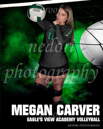 Carver,M_1