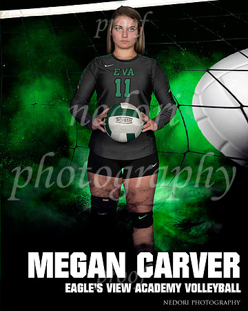 Carver,M_2