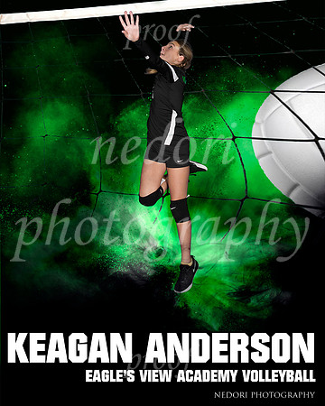 Anderson,K_1
