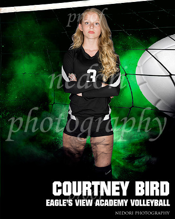 Bird,C_3