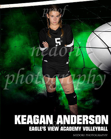Anderson,K_3